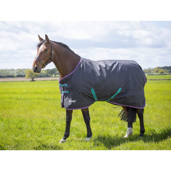 9337　SHIRES　テンペスト300