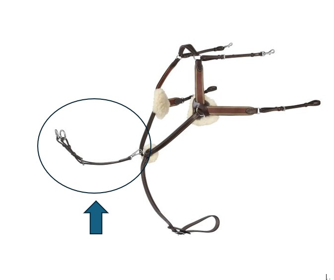 D27-2 Prestige 5ポイント胸がい用マルタン 