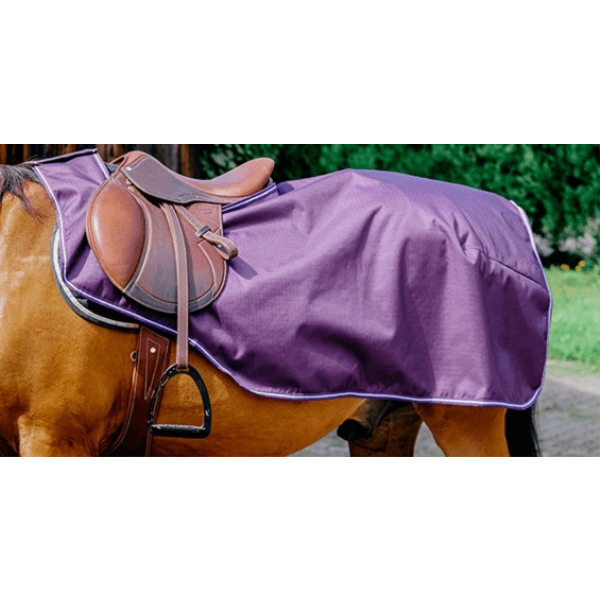 TYREX エクササイズシート 600D プラム 405681 裏フリース