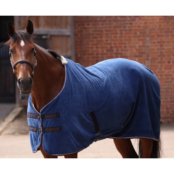 10583 ﾃﾝﾍﾟｽﾄｵﾘｼﾞﾅﾙﾄﾞﾗｲﾗｸﾞ