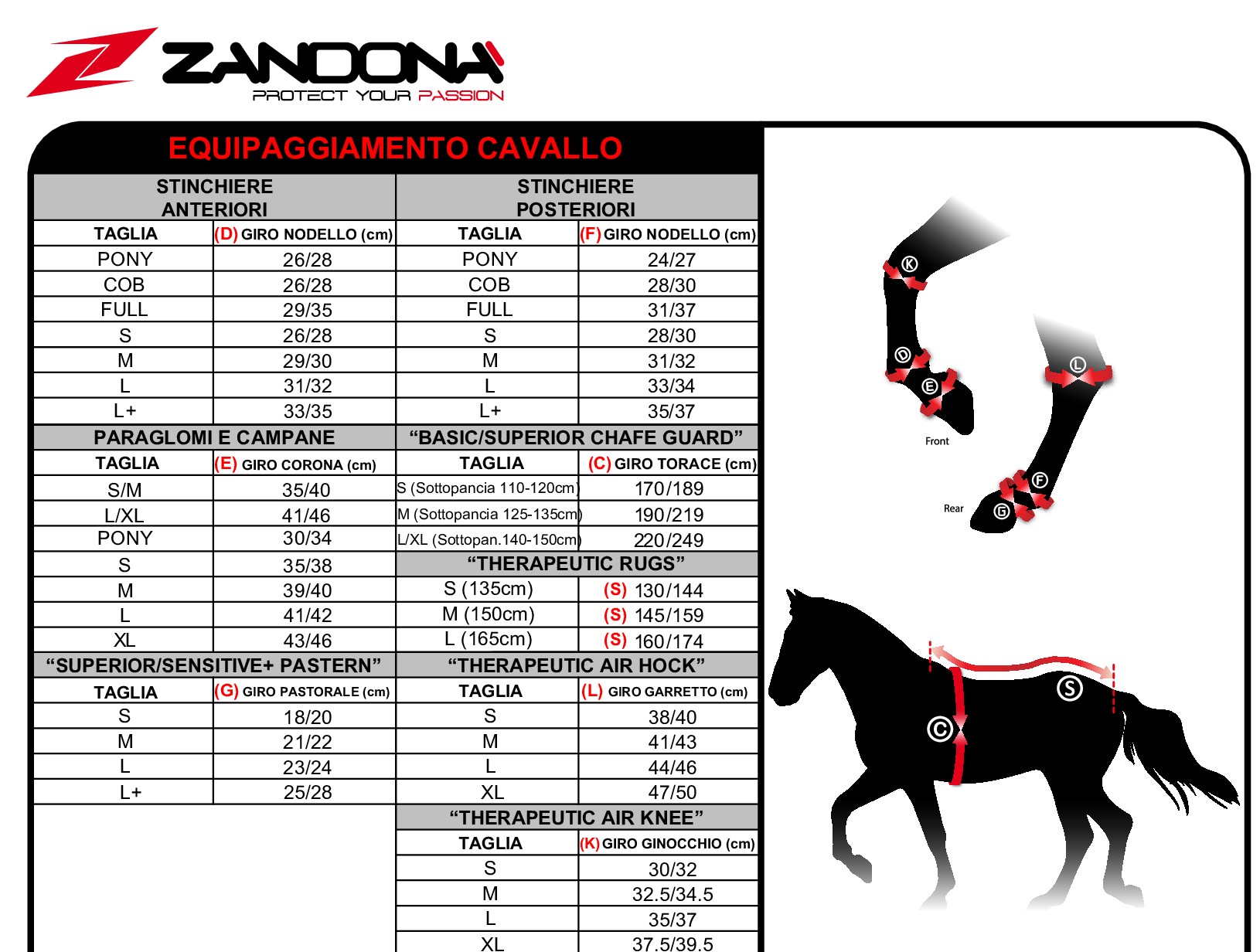 ZANDONA 1215CarbonProEX 後肢