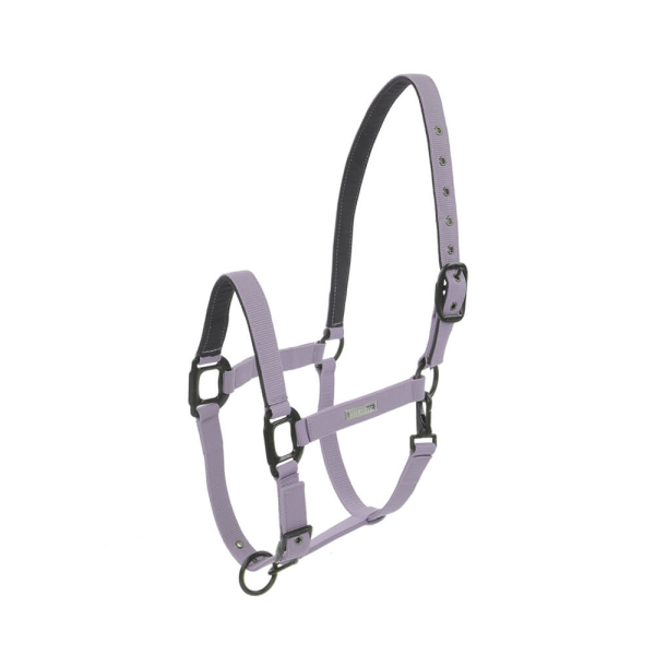 MIDNIGHT無口　401216