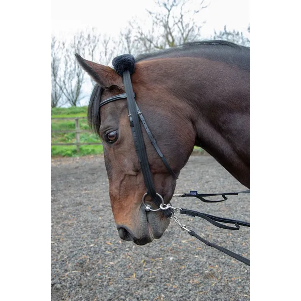 SHIRES 438調馬索アダプター