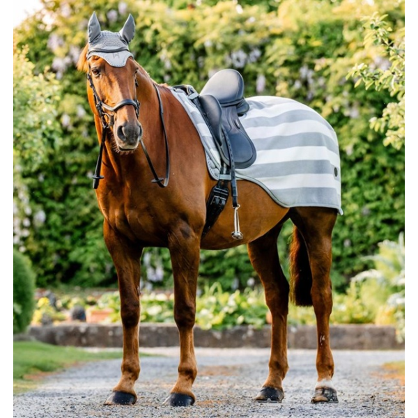 HORSEWARE Newmarket エクササイズシート