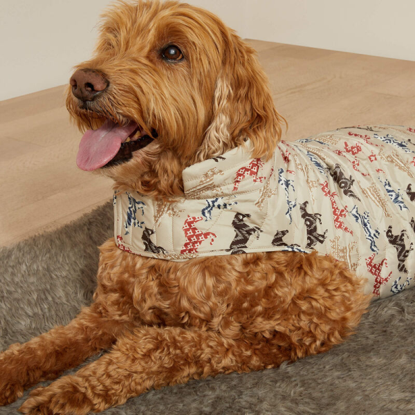 ARIAT PUP PUFFER犬着　ﾍﾟｲﾝﾄﾎﾟﾆｰﾌﾟﾘﾝﾄ