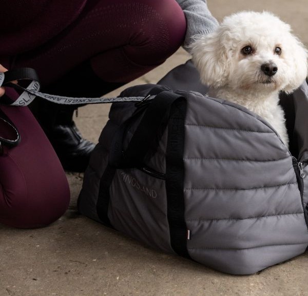 KINGSLAND 001 MACEY 首輪&リード