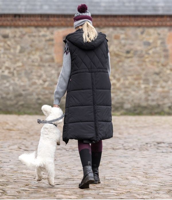 KINGSLAND 001 MACEY 首輪&リード